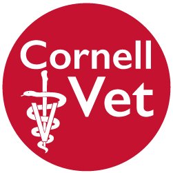 Cornell University
